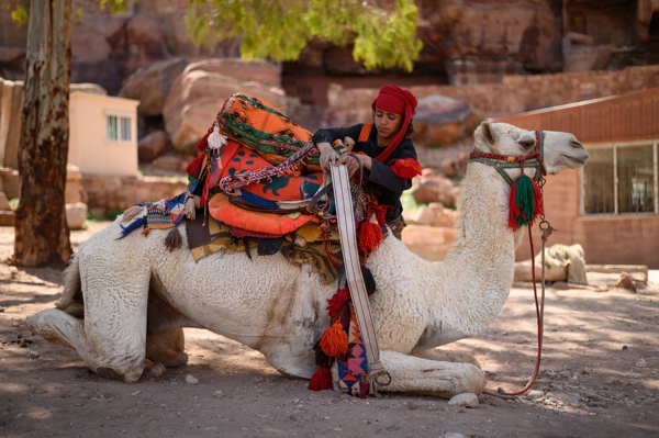 Jordan 🇯🇴 2019