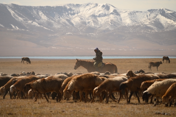 Kyrgyzstan 🇰🇬 2019
